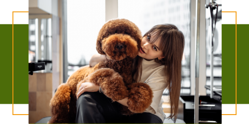 Wie man richtig mit Hunden spricht