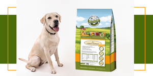 Trockenfutter für Hunde: Premiumqualität von Bellfor