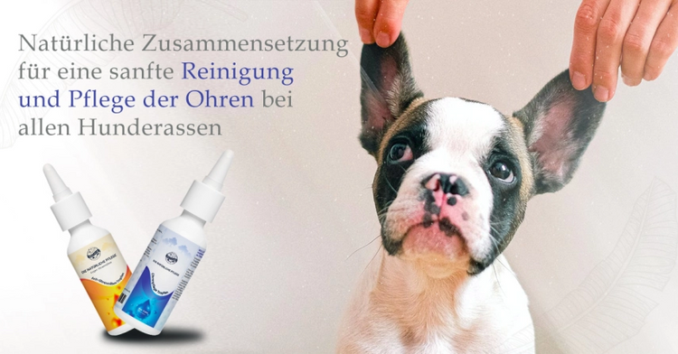 Bellfor Ohrenpflege Produkte für Hunde