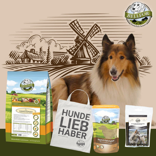 Collie Futter Set von Bellfor