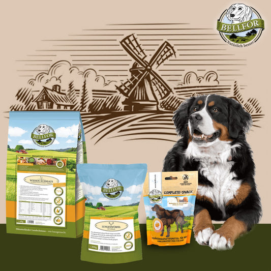 Berner Sennenhund Futter Set von Bellfor