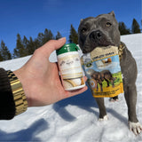 Gelenke & Knochen Sparset für Hunde - 30 Kapseln + Complete-Snack 150 g von Bellfor Hundefutter