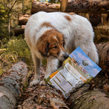 Kaltgepresst Trockenfutter für Hunde mit Insekten Getreidefrei - Naturgut-Schmaus von Bellfor Hundefutter - 10 kg