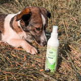 Anti-Grasmilben Natürlich Spray für Hunde von Bellfor Hundefutter - 250 ml