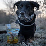 Nahrungsergänzung für Hunde - Gelenke & Knochen Complete-Snack von Bellfor Hundefutter - 150g