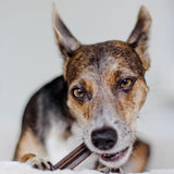 Dental Sticks natürliche Zahnreinigung für Hunde von Bellfor Hundefutter - 100 g