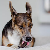 Dental Sticks natürliche Zahnreinigung für Hunde von Bellfor Hundefutter - 100g