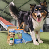 Nahrungsergänzung für Sporthunde - Fitness Riegel von Bellfor Hundefutter - 400 g