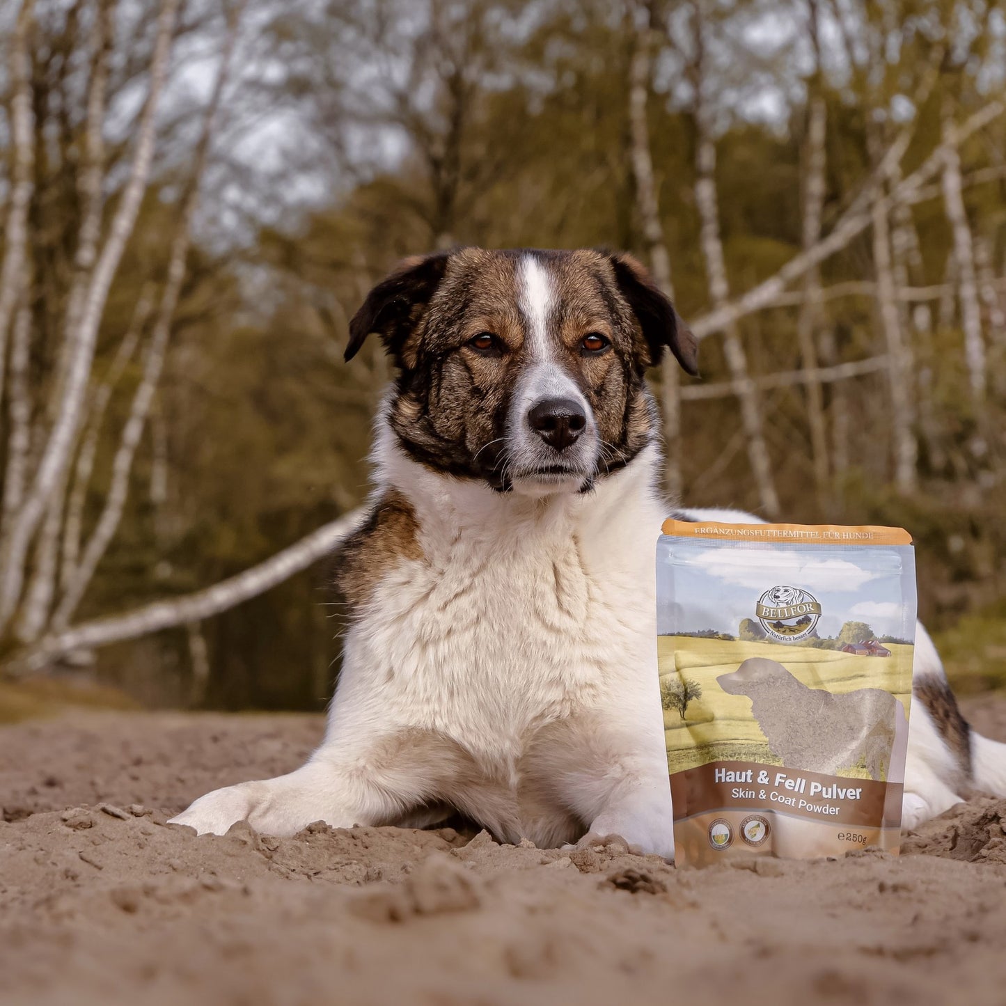 Nahrungsergänzung für Hunde - Haut & Fell von Bellfor Hundefutter - Pulver - 250 g