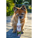 ZEComplete natürlich Spray für Hunde von Bellfor Hundefutter - 250 ml