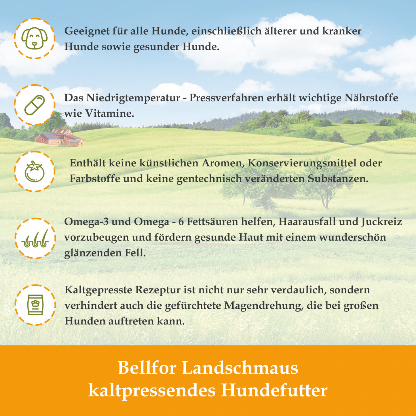 Kaltgepresst Trockenfutter für Welpen mit Huhn Getreidefrei - Wiesen-Schmaus Junior von Bellfor Hundefutter - 10 kg