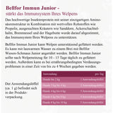 Hochwertige Immun Pulver Junior für Welpen von Bellfor Hundefutter - 50g