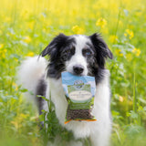 Hypoallergenes Soft Snacks für Hunde mit Insekten - Landgut-Happen von Bellfor Hundefutter - 200g