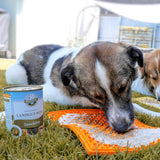 Hypoallergenes Nassfutter für Hunde mit Insekten Getreidefrei - Landgut-Menü von Bellfor Hundefutter - 400 g