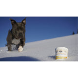 Pfotenschutz Salbe natürlich für Hunde von Bellfor Hundefutter - 110 ml