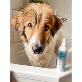 Fellpflege für Hunde - Hundeshampoo Care - Rückfettend und Pflegend von Bellfor Hundefutter - 250ml