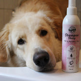 Fellpflege für Hunde - Hundeshampoo Shiny für glänzendes Fell von Bellfor Hundefutter - 250ml