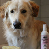 Fellpflege für Hunde - Hundeshampoo Shiny für glänzendes Fell von Bellfor Hundefutter - 250ml