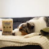 Nahrungsergänzungs für Hunde mit Shiitake - Shiimun Calm Pulver von Bellfor Hundefutter - 50 g
