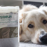 Nahrungsergänzungs für Hunde mit Shiitake - Shiimun Dental Pulver von Bellfor Hundefutter - 120g